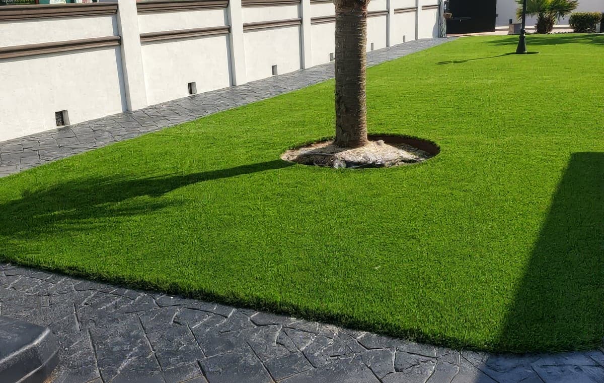 A lush, freshly installed artificial lawn surrounds a palm tree in a well-manicured commercial property landscape