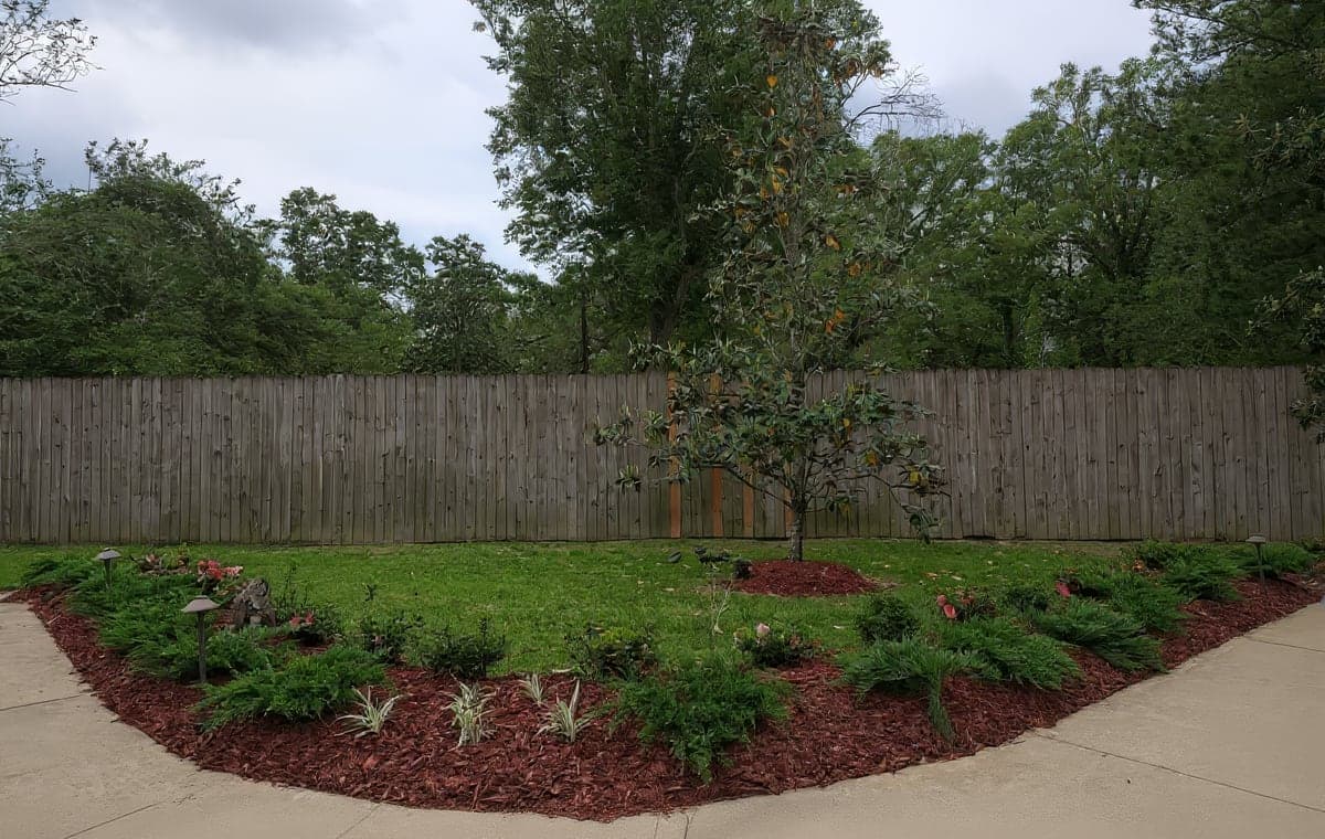 A freshly landscaped backyard with a curved mulch bed lined with shrubs, ornamental plants, and a young tree, bordered by a wooden privacy fence and mature trees