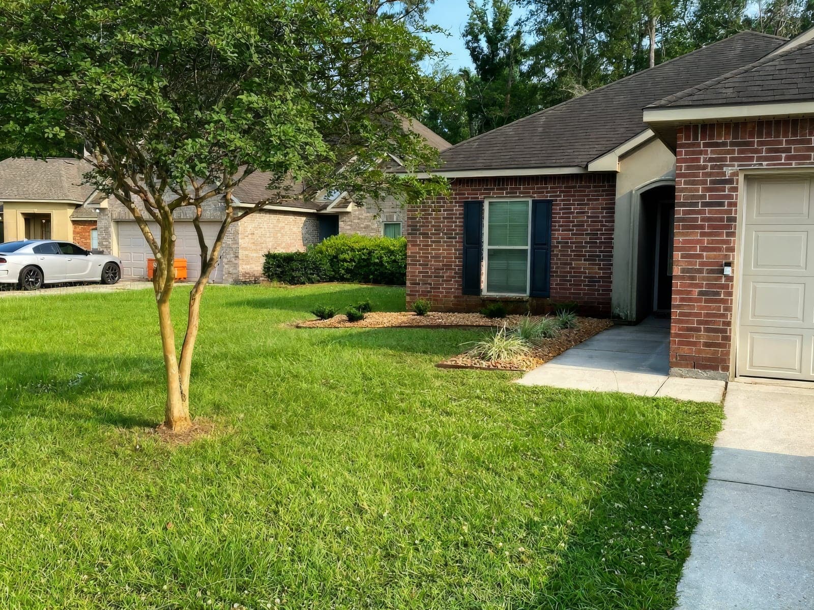 A well-maintained front lawn and landscaping bed with mulch and shrubs beside a brick single-story home