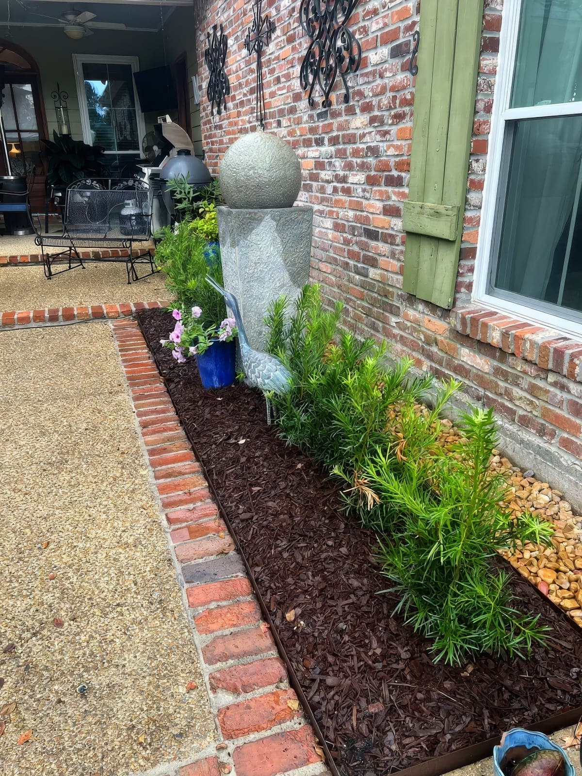 A freshly landscaped garden bed with newly planted yews and flowering petunias, brick edging, and mulch alongside a brick house