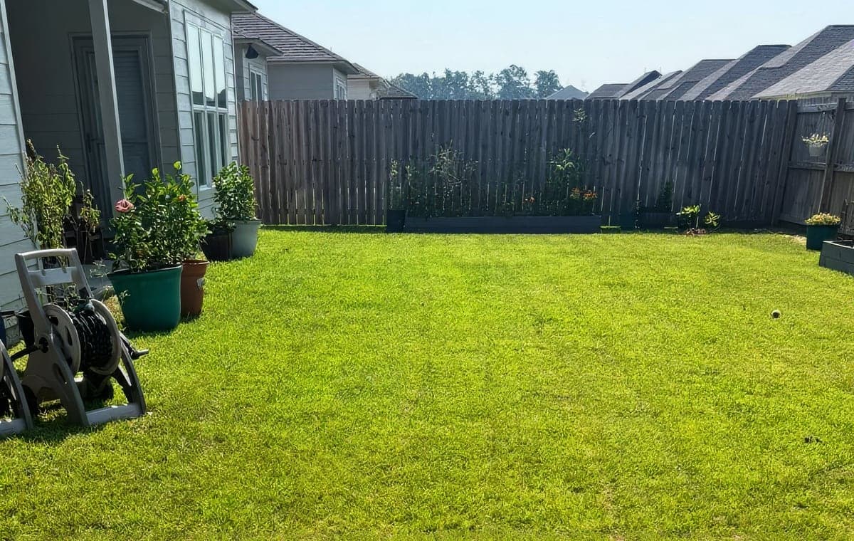 A freshly mowed backyard lawn with mowing stripes along a privacy fence