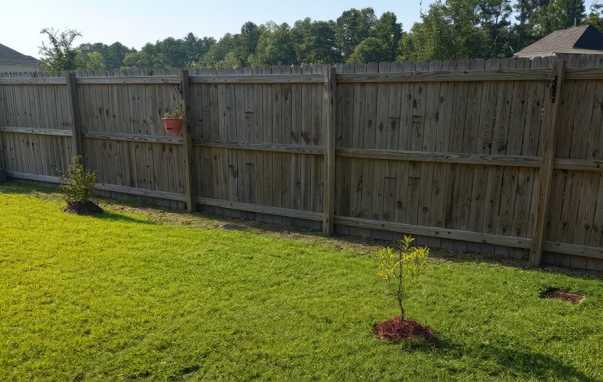A freshly landscaped backyard with healthy green sod along a wooden privacy fence, featuring a newly planted young tree with red mulch, a small shrub, and a pink hanging flower basket