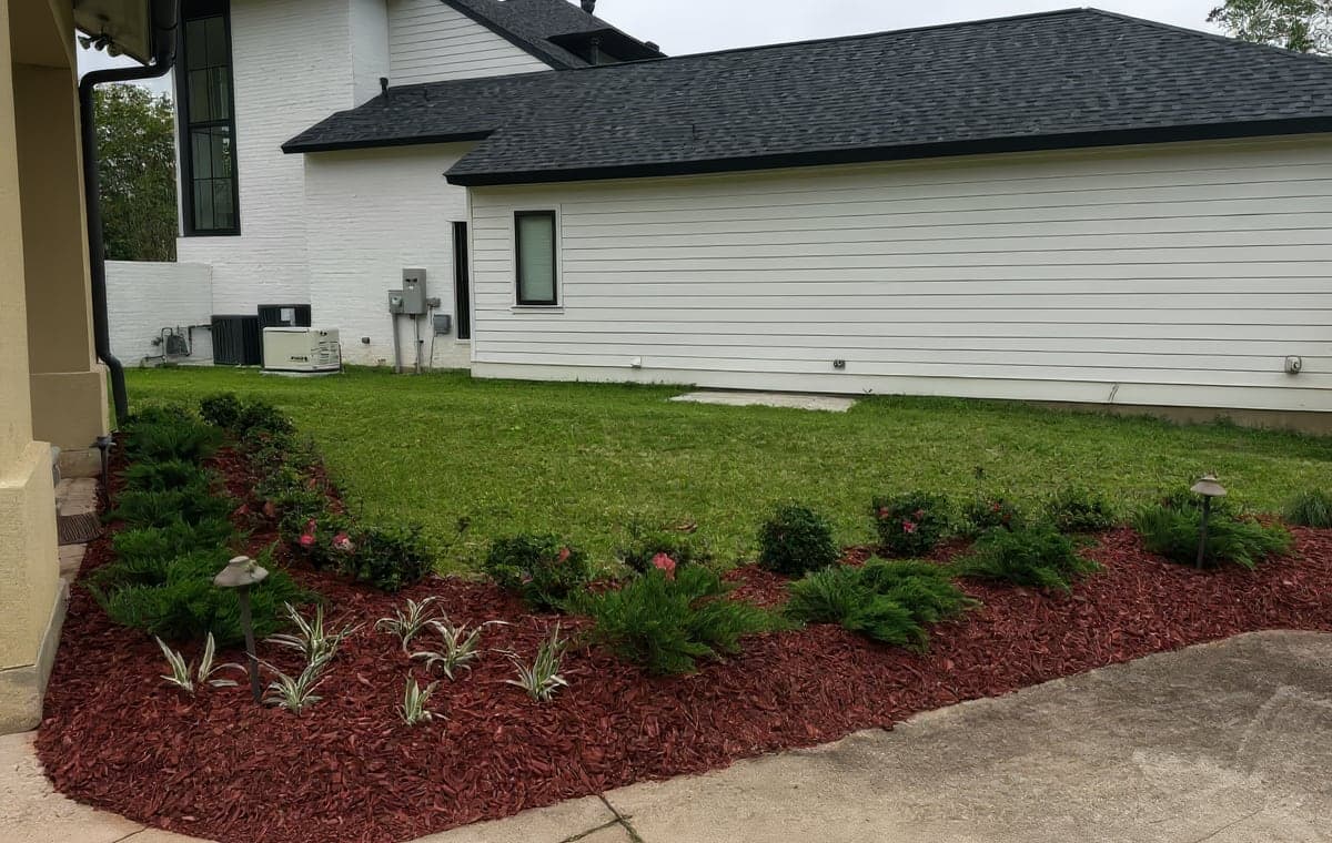 Freshly installed landscape bed with red mulch, evergreen shrubs, blooming azaleas, variegated liriope and low-voltage path lights bordering a manicured lawn beside a modern white home