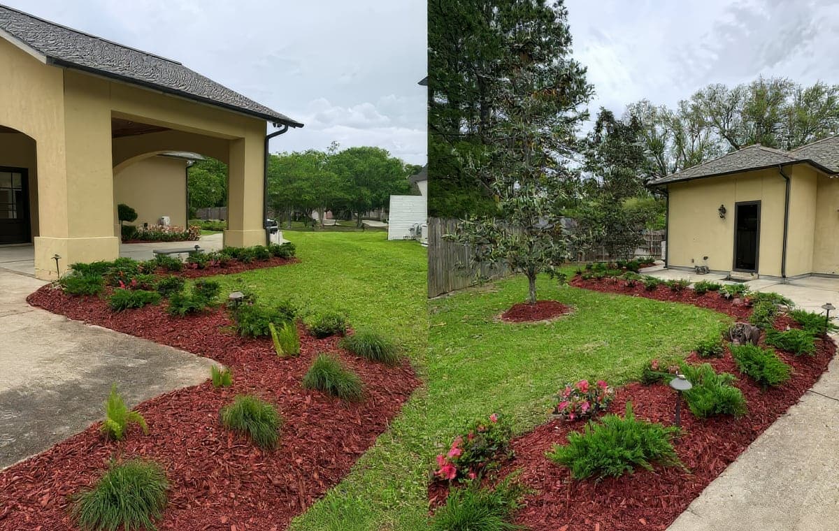 Two side-by-side views of a professionally landscaped yard at a tan stucco home, featuring fresh red mulch beds, ferns, ornamental grasses, pink azaleas, a young magnolia tree, and path lighting along a well-kept lawn