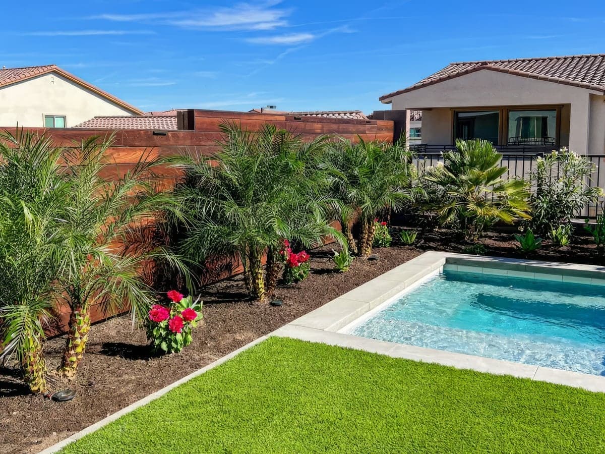 Mature palms and flowering shrubs in fresh mulch beds along a fence beside a pool