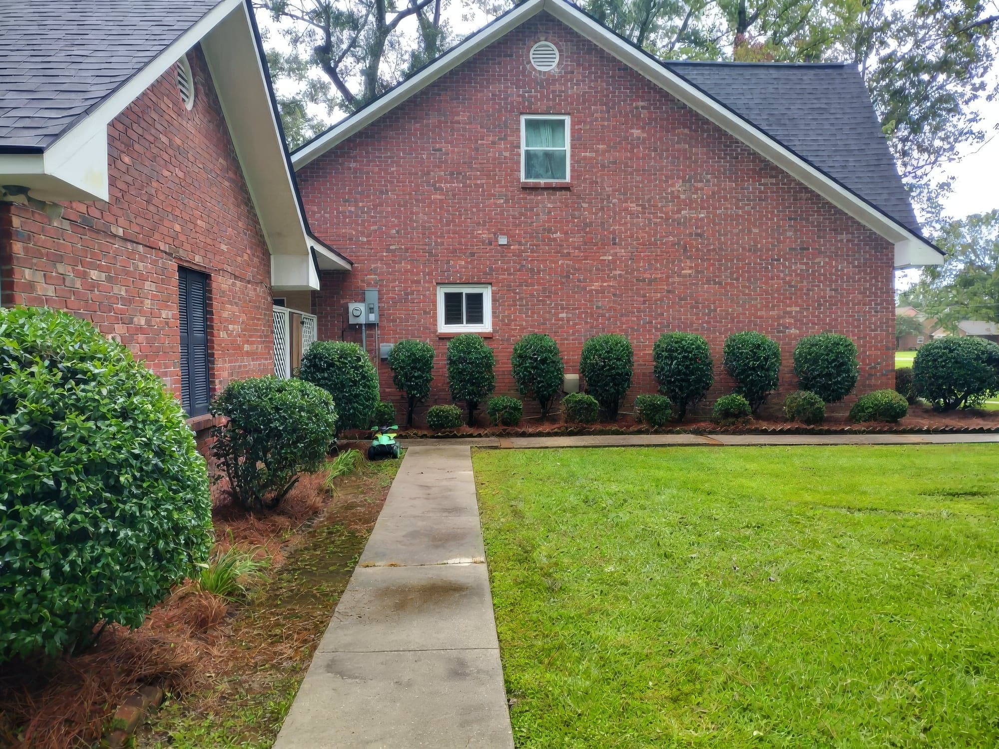 A red brick home with a row of neatly trimmed, rounded shrubs along the side wall, fresh pine straw mulch beds, and a freshly mowed green lawn beside a concrete walkway. The clean edging and uniform shaping showcase comp