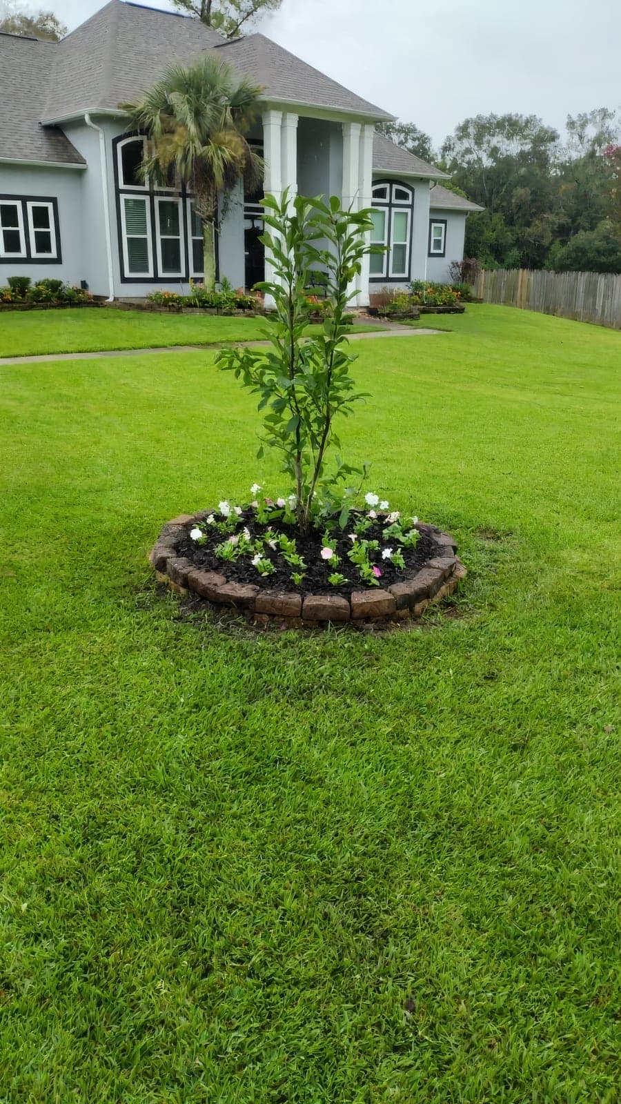 A freshly installed circular stone-edged landscape bed with dark mulch, a young tree and newly planted pink and white vinca flowers in a manicured green lawn, with a gray home with white columns and landscaped beds in th