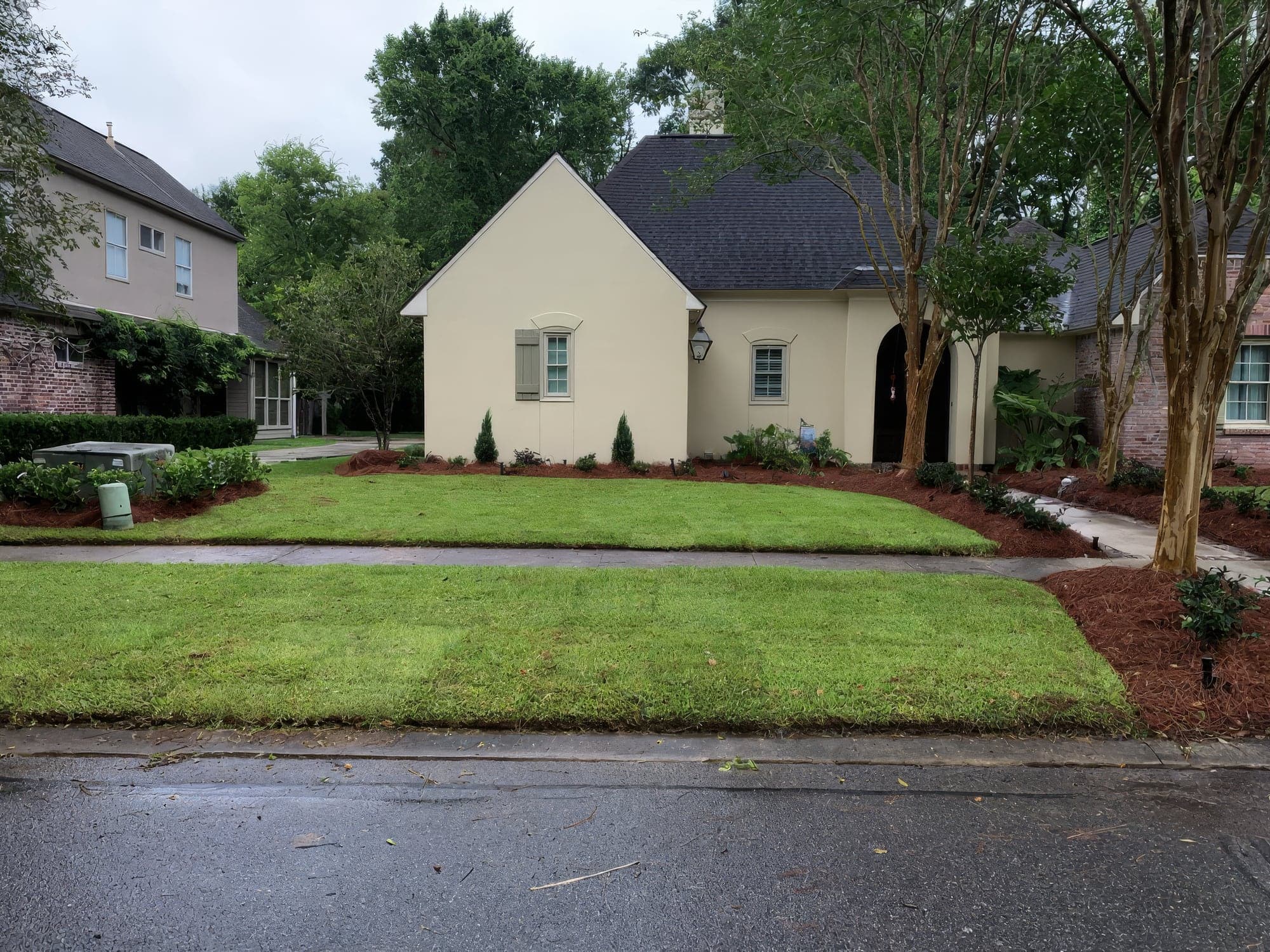 A cream stucco home with freshly laid sod, pine straw beds and young crape myrtles