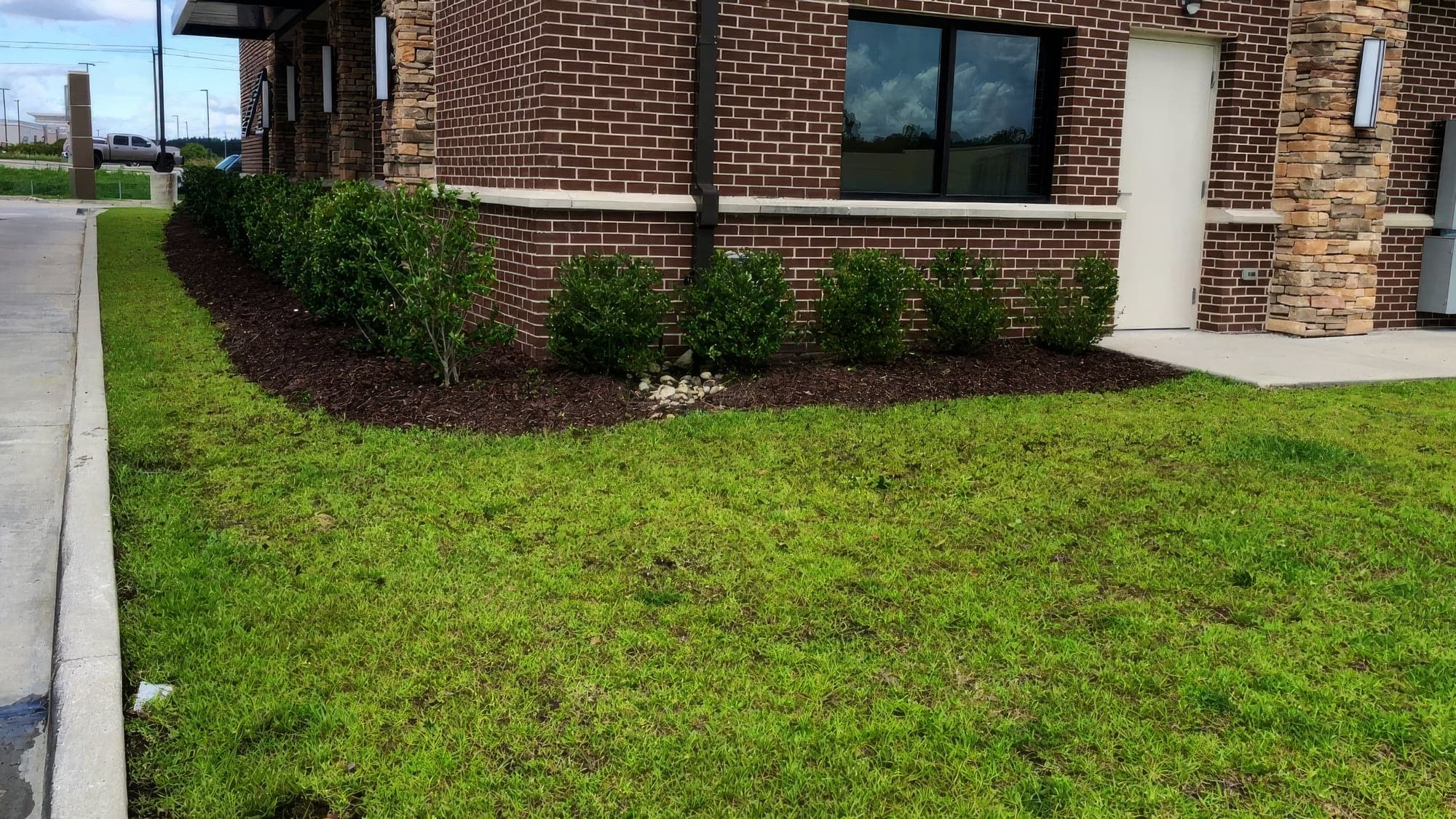 A freshly landscaped bed of trimmed evergreen shrubs with dark mulch and decorative river rock along the corner of a brick commercial building, bordered by a neatly maintained green lawn