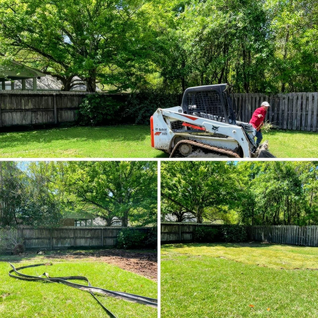 Three-panel collage of a backyard landscaping project showing a worker operating a Bobcat compact track loader to clear and grade the lawn, then the graded soil with a coiled drain line, and finally the completed fresh s