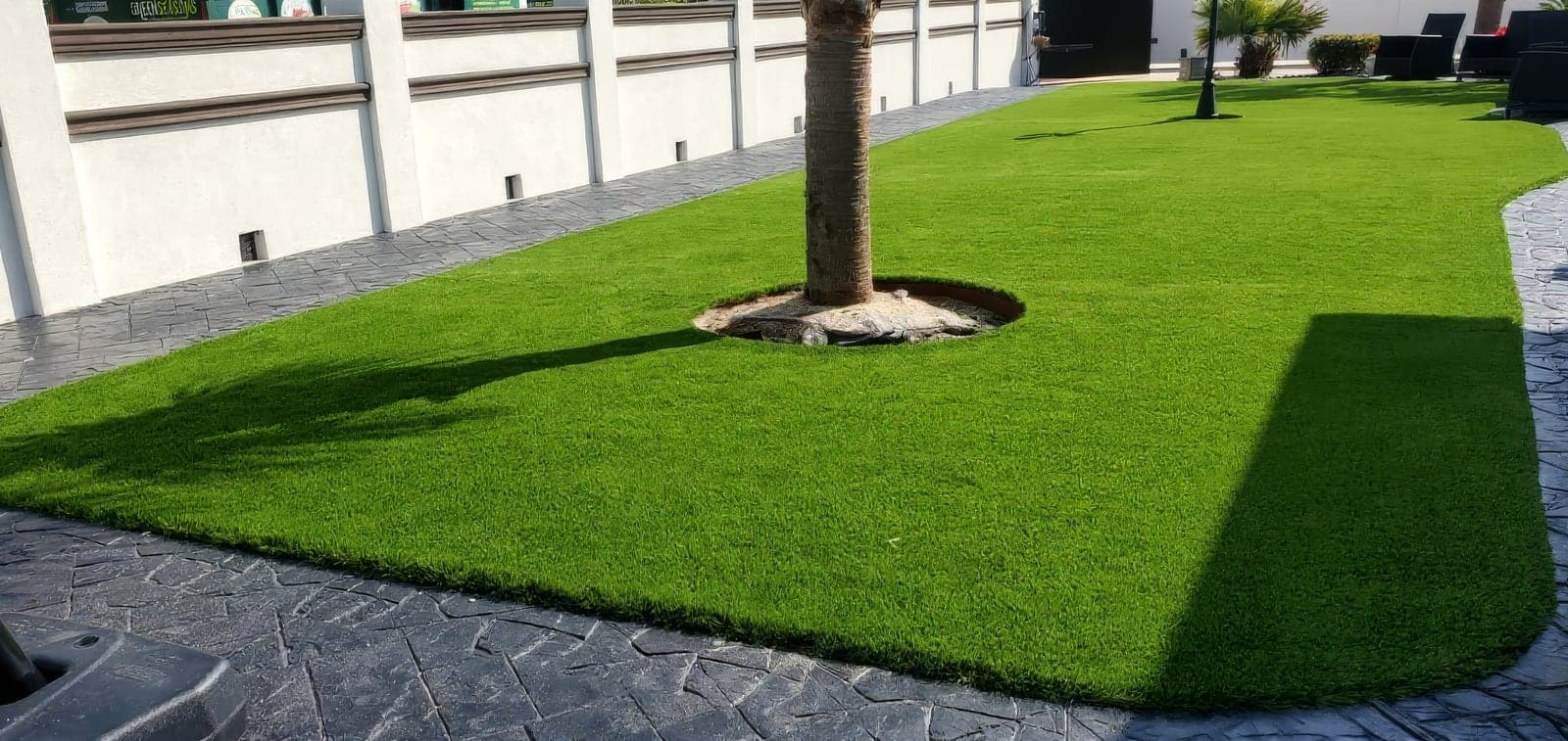 Freshly installed artificial turf with clean curved edges around a palm tree, bordered by stamped concrete