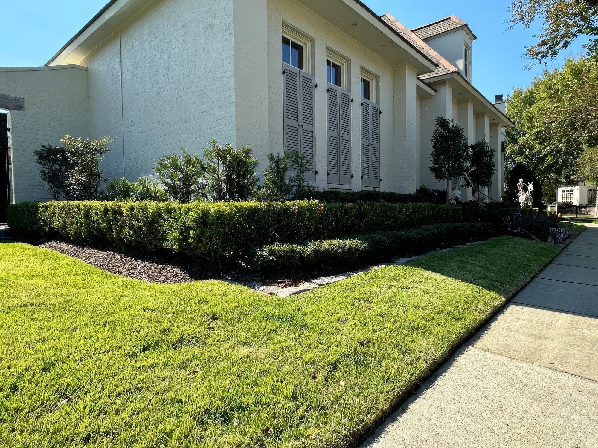A freshly mowed, vibrant green lawn with crisp edging borders a neatly trimmed boxwood hedge and dark mulch bed in front of a white brick home with gray shutters. Landscaping is well maintained with shaped shrubs and sma