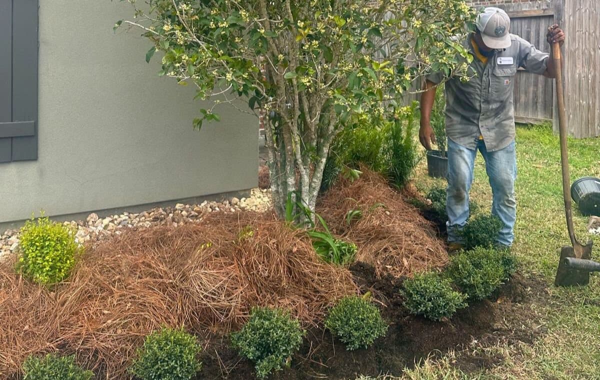 A crew member with a shovel beside a freshly planted bed