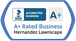 BBB Accredited Business, A+ rated