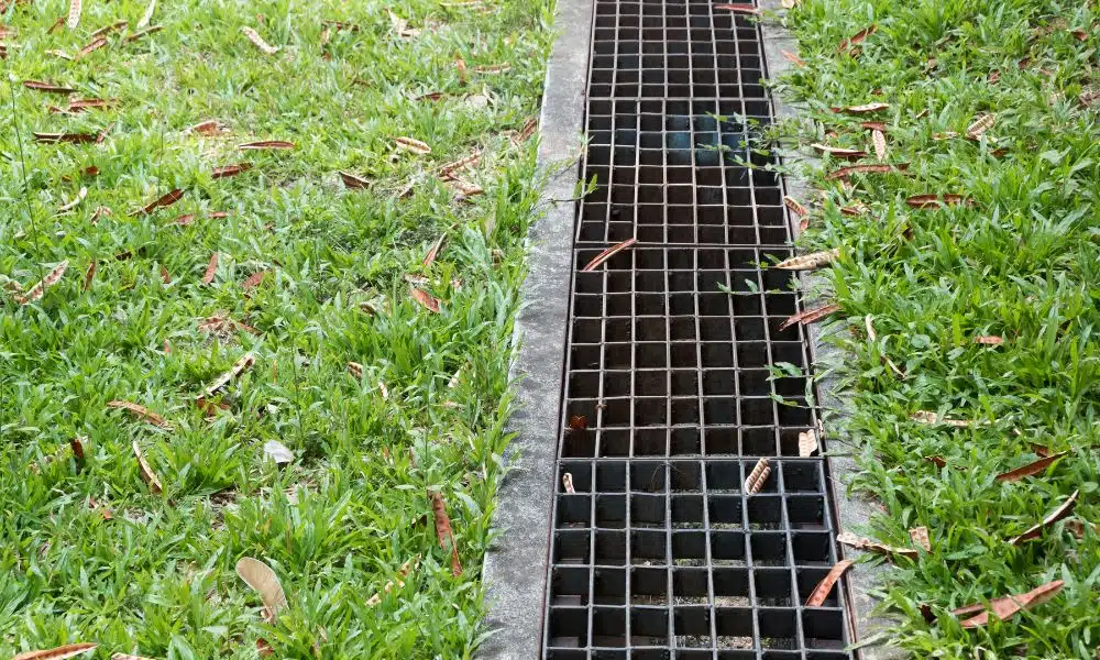 How To Effectively Improve Your Yard’s Drainage
