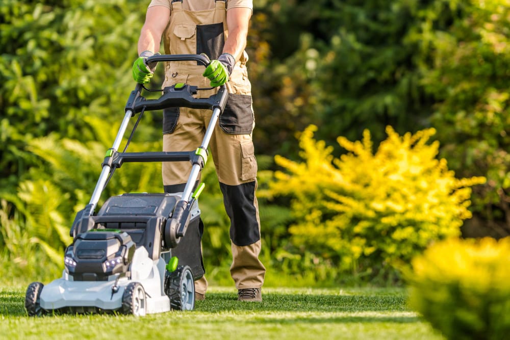 Complete Guide to Lawn Care