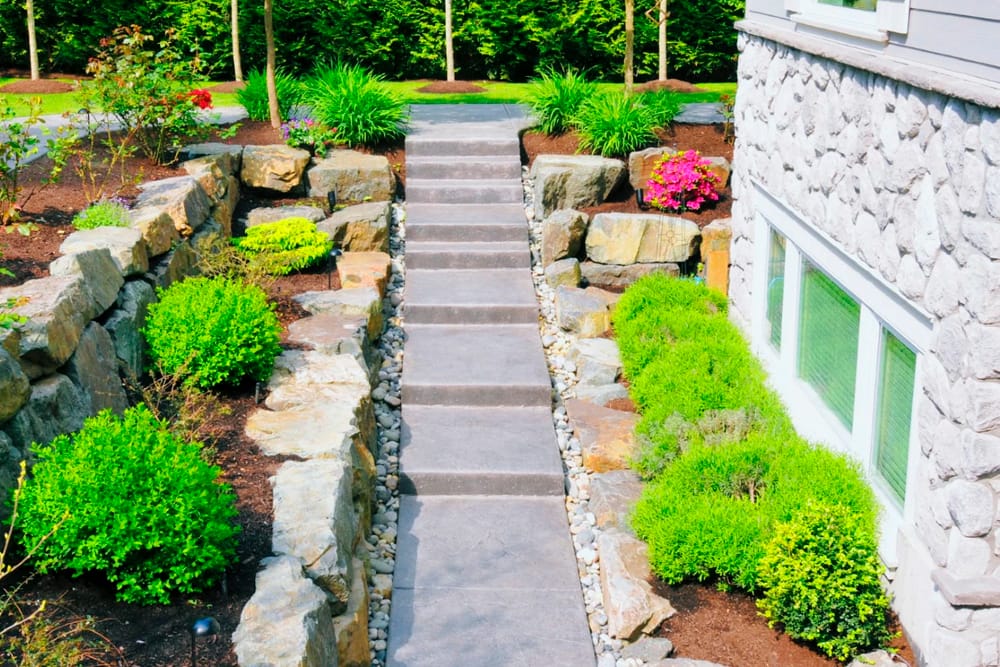 Understanding Landscape Drainage