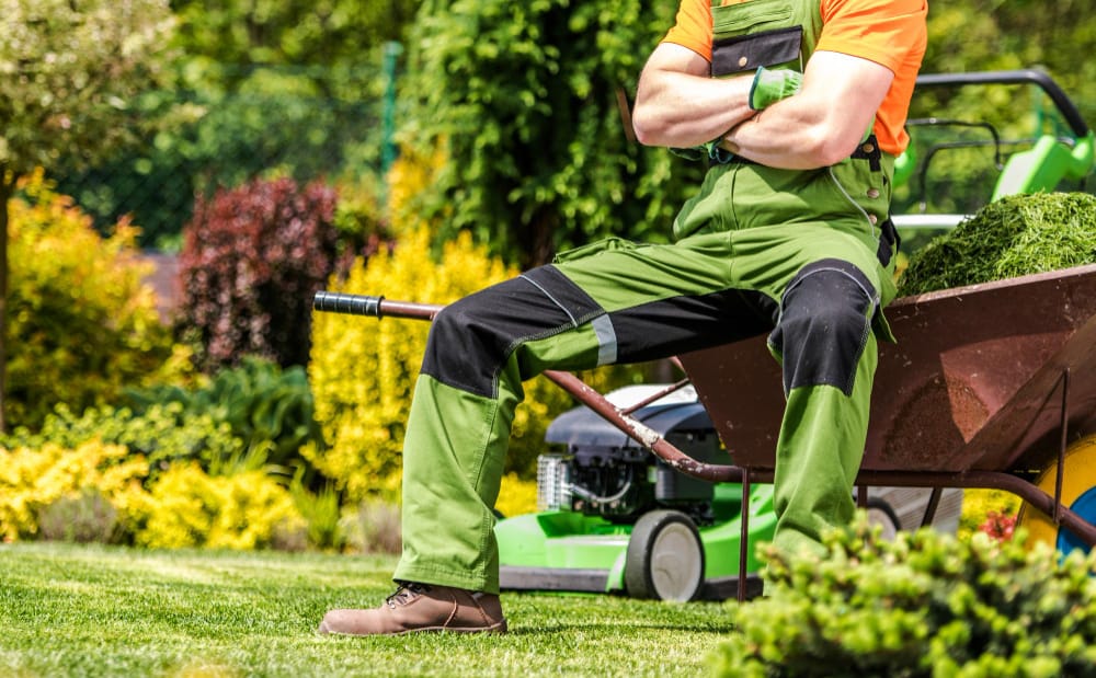 the Best Lawn Care Services Near Me
