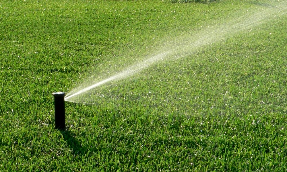 7 Signs You Need To Replace Your Irrigation System