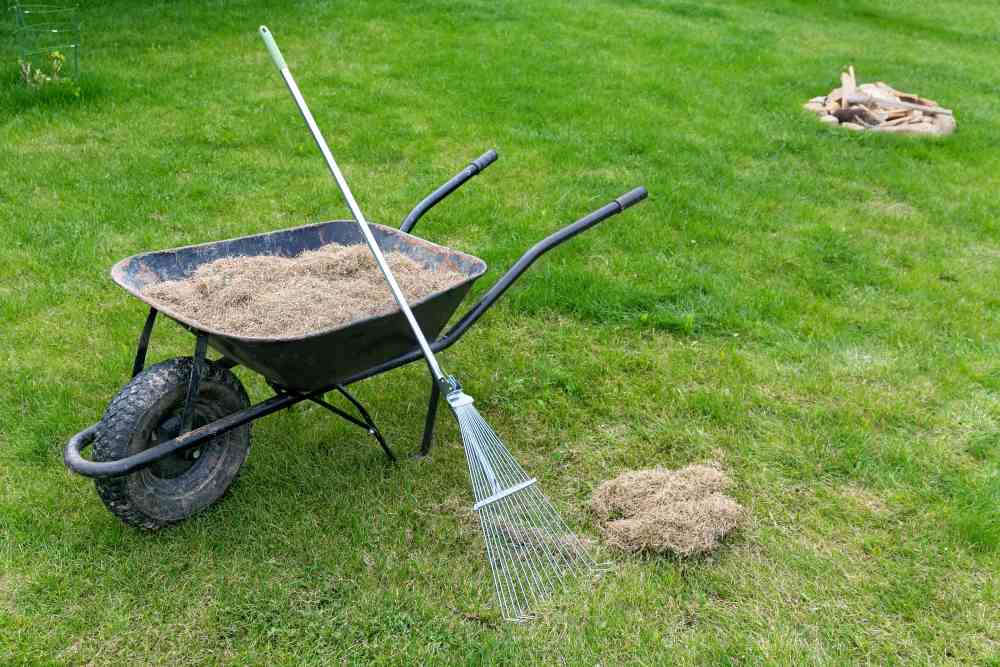 A dethatching rake leans on a wheelbarrow full of lawn clippings. A small pile of wood is in the background.