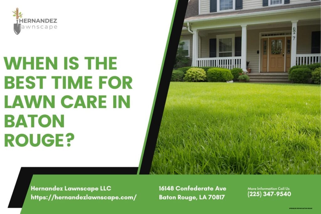 When is the Best Time for Lawn Care in Baton Rouge?