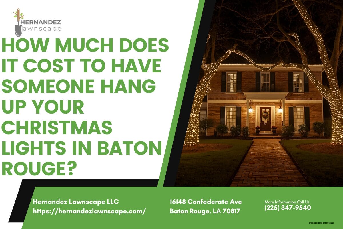 How much does it cost to have someone hang up your Christmas lights in Baton Rouge