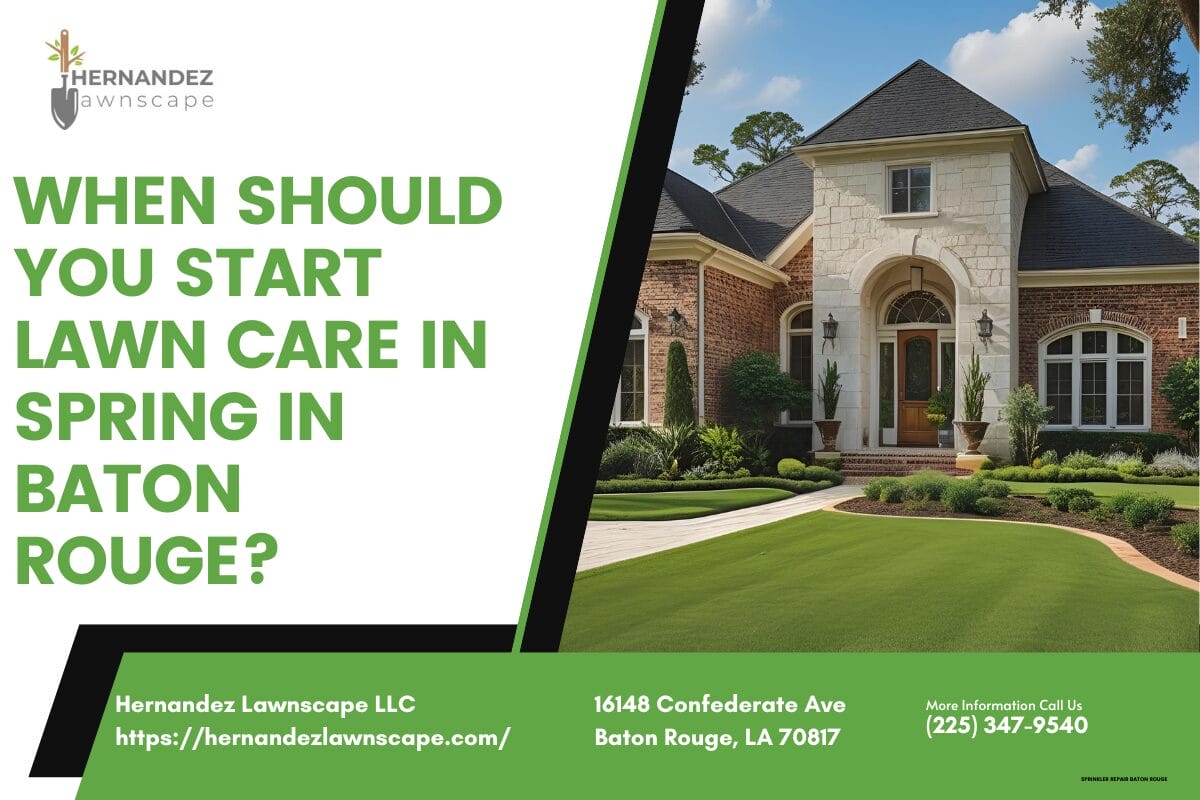 When should you start lawn care in spring in Baton Rouge